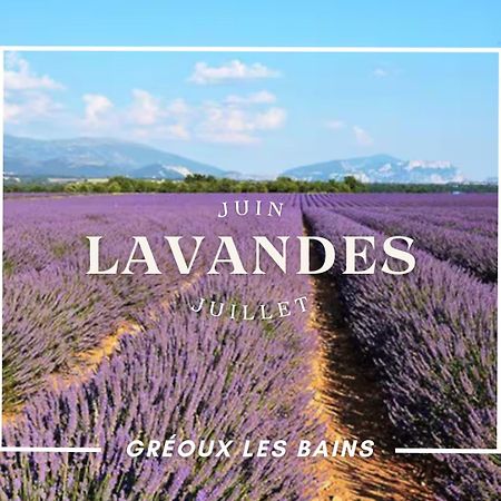 Oasis Tranquille - L'Evasion Au Verdon グレウー・レ・バン エクステリア 写真