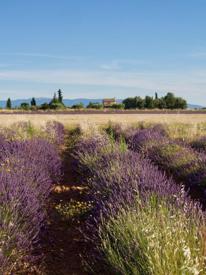 Oasis Tranquille - L'Evasion Au Verdon グレウー・レ・バン エクステリア 写真